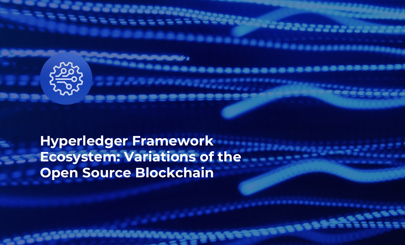 Hyperledger Framework Ecosystem