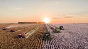 Blockchain for Supply Chain in Agriculture
