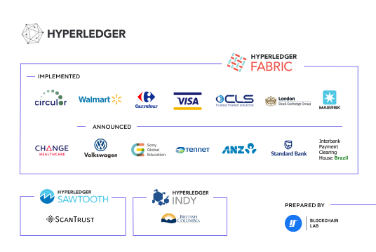 Hyperledger case studies